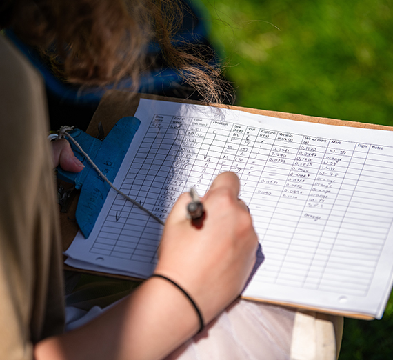 Student working in a bio lab